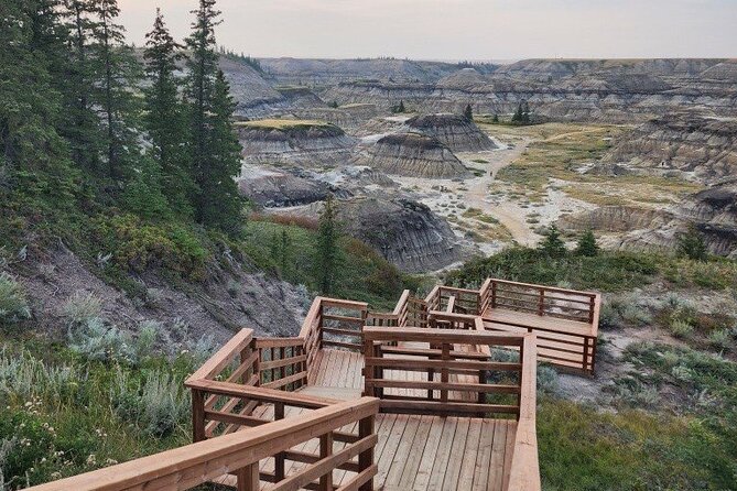 1 Day Drumheller Private Group Custom Tour: Calgary to Badlands - Rosebud and the Badlands Amphitheatre