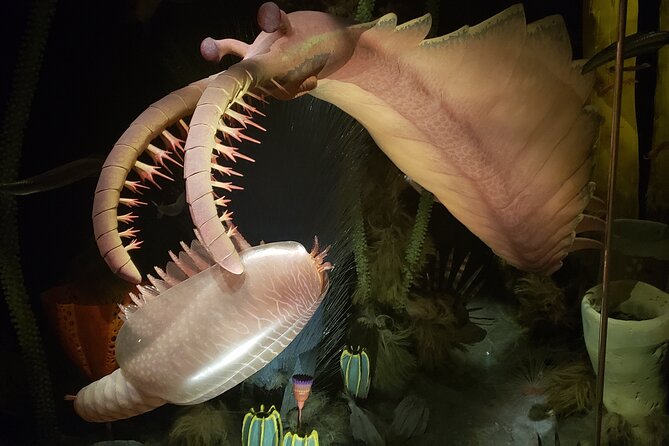 1 Day Guided Drumheller Tour: Calgary to Dinosaur Badlands - Key points at a glance