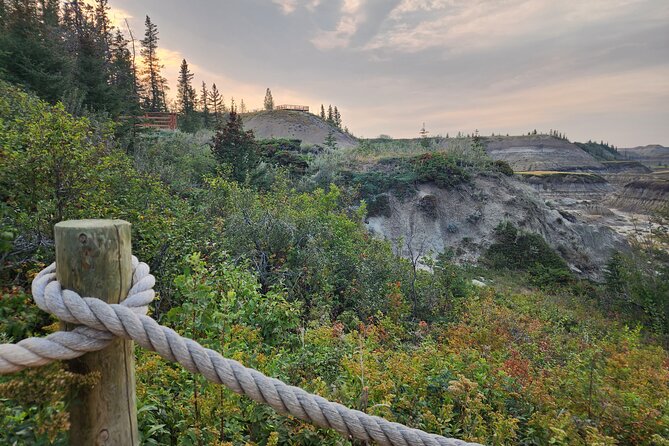 1 Day Guided Drumheller Tour: Calgary to Dinosaur Badlands - The Royal Tyrrell Museum deserves the long stop