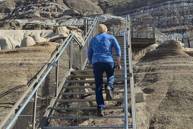 1 Day Guided Drumheller Tour: Calgary to Dinosaur Badlands - Canyons that show the badlands from above