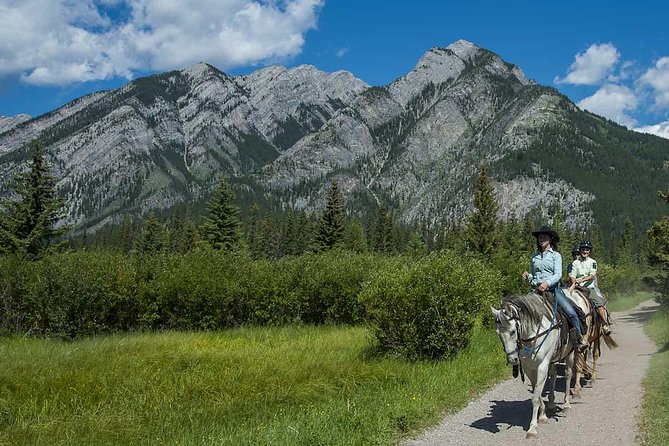 1 Hour Bow River Ride - The horses are a major part of the appeal