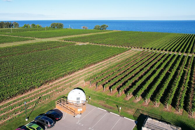1 Hour Private Vineyard Dome Experience in Niagara-on-the-Lake - A private tasting with a view across Lake Ontario