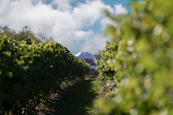 1 Hour Private Vineyard Dome Experience in Niagara-on-the-Lake - Is $45.06 per person good value?