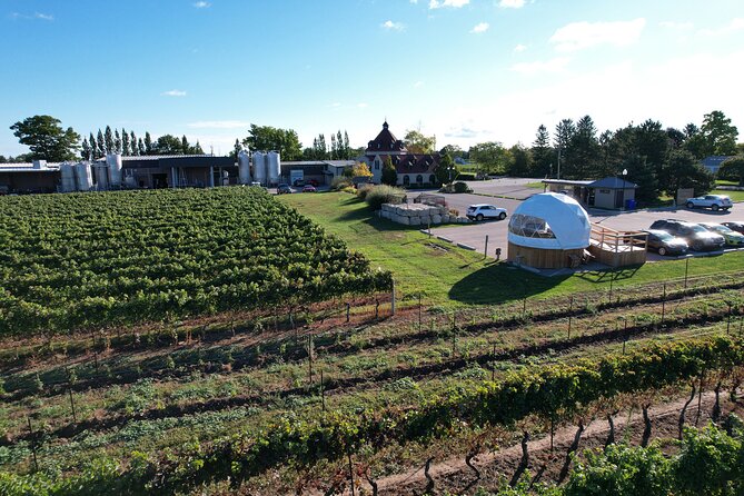 1 Hour Private Vineyard Dome Experience in Niagara-on-the-Lake - Practical details that make the visit easier