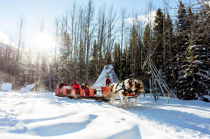 1 Hour Shared Winter Sleigh Ride Experience in Kananaskis - The guide and the feel of the ride
