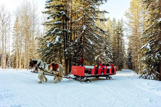 1 Hour Shared Winter Sleigh Ride Experience in Kananaskis - How the stops in Kananaskis, Canmore, and Calgary fit together