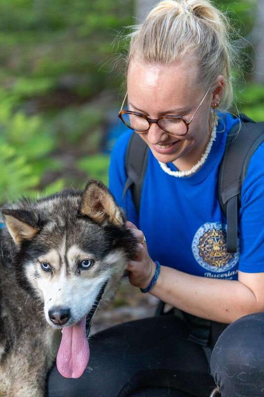 15 min. Tadoussac : Behind-the-Scenes Sled Dog Kennel Tour - Key points at a glance