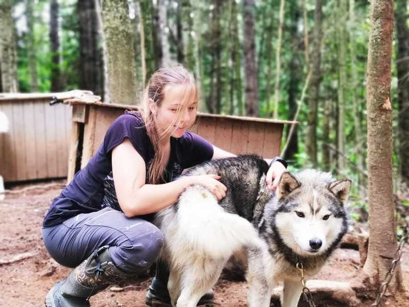 15 min. Tadoussac : Behind-the-Scenes Sled Dog Kennel Tour - Time for photos and close contact