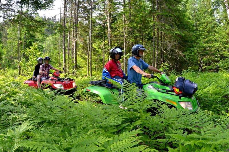 15 min. Tadoussac : Guided ATV tour excursion - A closer look at the family setup