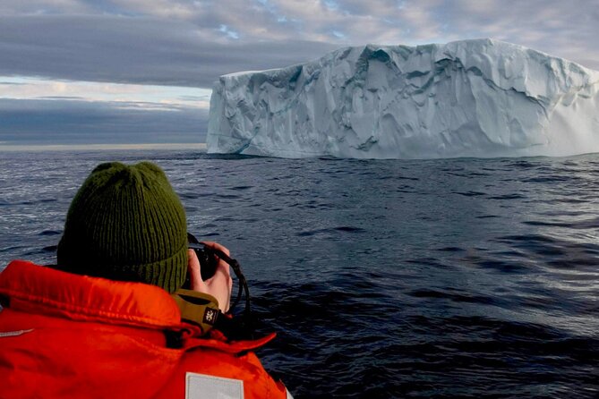 2 Hour Award-Winning Whale and Seabird Boat Tour from St. John's - Why this St. John’s boat tour is worth your time