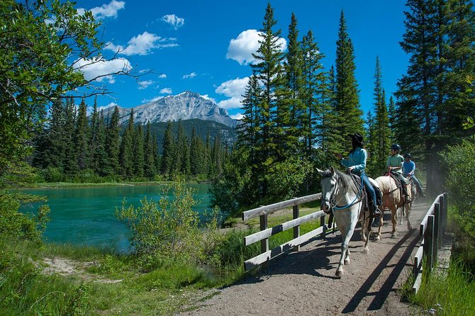 2 Hour Banff Horseback Riding Adventure - Windy Knoll and the Best Photo Opportunities