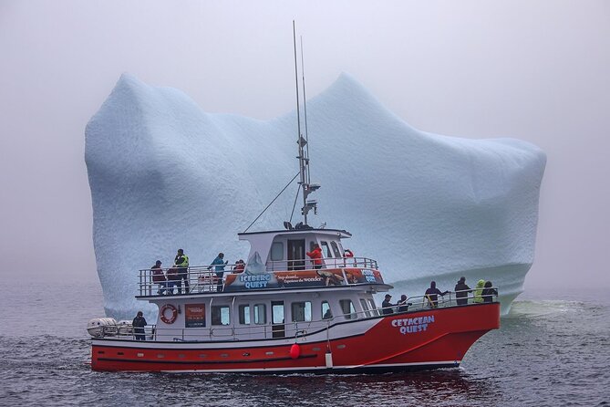 2 Hour Boat Tour in Twillingate - Iceberg Alley and the Search for Ancient Ice