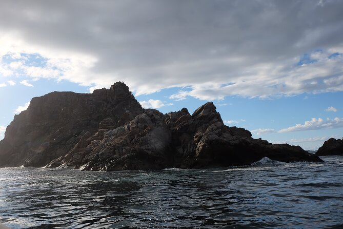 2 Hour Boat Tour in Twillingate - Long Point Lighthouse and the Rugged Coast