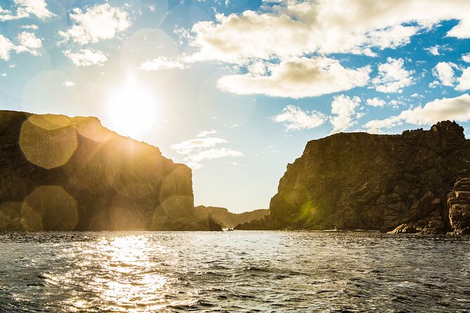 2 Hour Boat Tour in Twillingate - Weather, Motion Sickness, and Staying Comfortable
