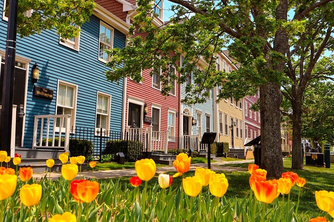 2 Hour E-bike tour of Charlottetown - Key points to know before you ride
