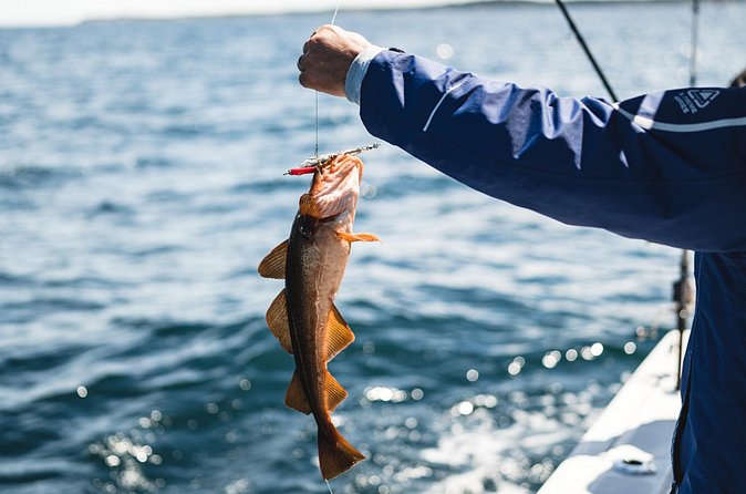 2 Hour Fishing Experience in Halifax - Who should book this Halifax fishing trip?