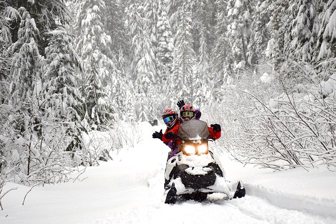 2 Hour Wilderness Adventure Snowmobile Tour in Whistler - How much value do you get for CA$202.42?