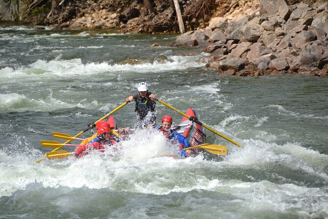 3.5 Hour Whitewater Rafting and Waterfall Adventure - Who will enjoy this Clearwater rafting trip most?