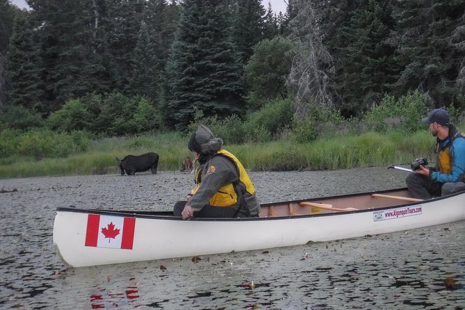 3 Day Algonquin Park Canoe Trip - Moose & Beaver Safari - Key points to know before booking
