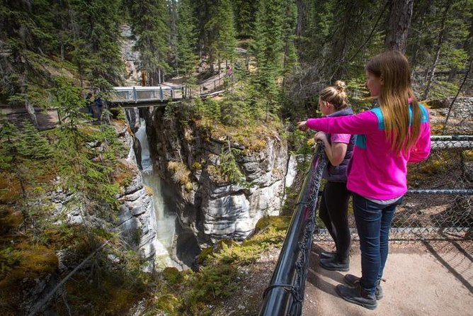 3-Day Authentic Jasper National Park Packaged Tour - Guides, vehicles, and the feel of the group