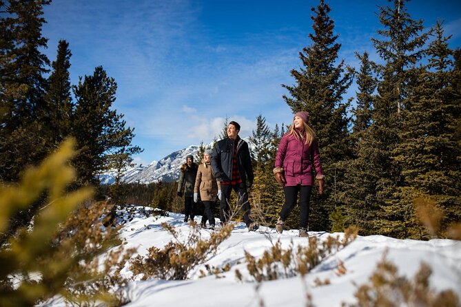 3-Day Rockies Express Tour Package: Banff, Lake Louise and Yoho - Day 3: Lake Louise, seasonal Moraine Lake, and Yoho