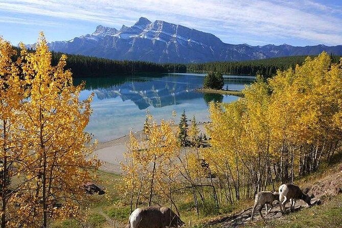 3-Day Rockies Express Tour Package: Banff, Lake Louise and Yoho - Day 1: Calgary arrival and airport pickup