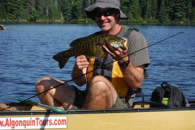 3 Hour Algonquin Park Bass & Trout Fishing (private- price is for 1 or 2 people) - Meeting at the West Gate at 7:00 am