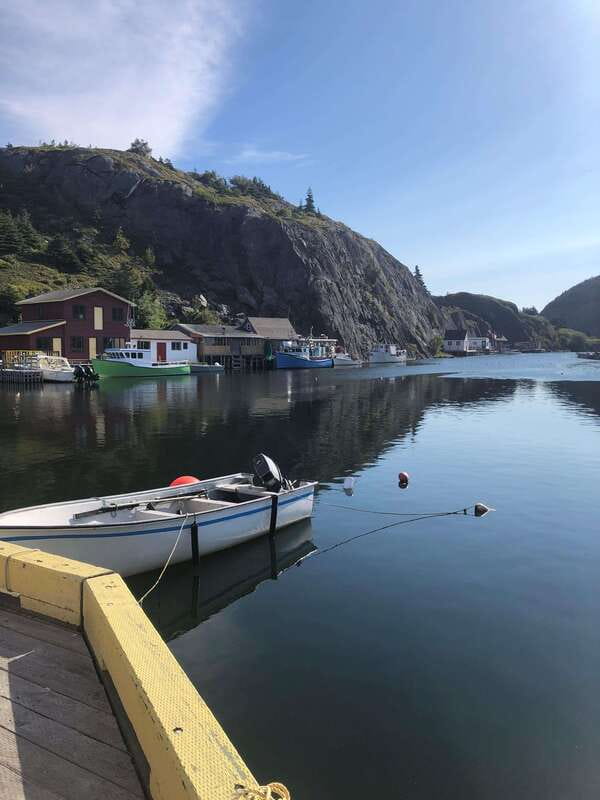 3 hour City Tour of St. John's, small group up to ten quests - Water Street adds a downtown connection