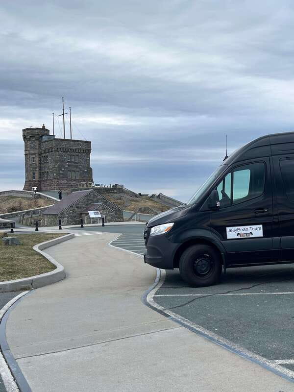 3 hour City Tour of St. John's, small group up to ten quests - Petty Harbor shows an active working waterfront