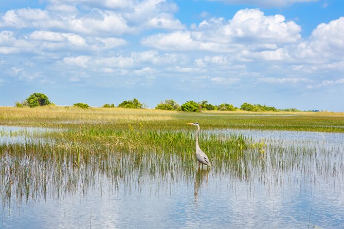 3h Boat Safari - Montreal’s Nature and Iconic Attractions Tour - Quick takeaways for your Montreal day