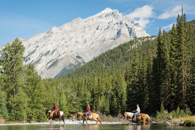 4 Hour Sulphur Mountain Horseback Ride - Starting at the Banff Trail Riders corrals