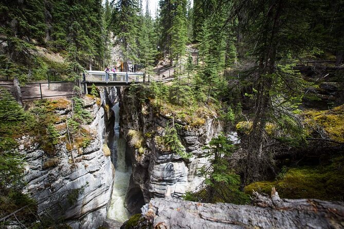5 Day Canadian Rockies, Banff, Lake Louise, Moraine Lake, Jasper - Lake Louise, Moraine Lake, and Yoho finish the tour strongly