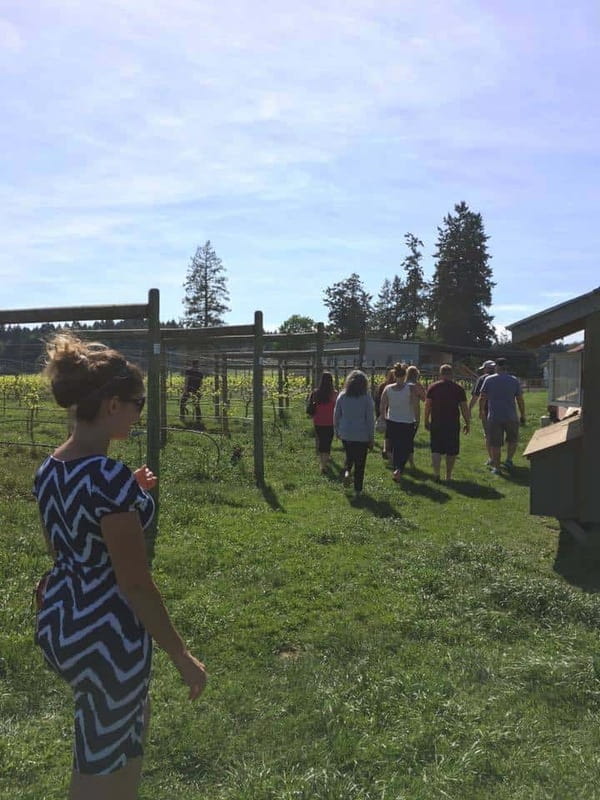 6-Hour Victoria to Cowichan Wine Tour - From Victoria to the Malahat lookout