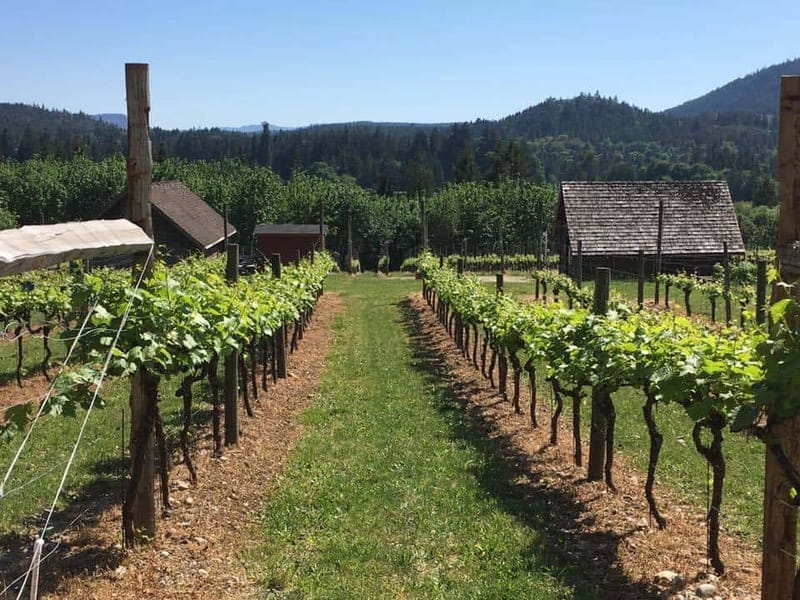 6-Hour Victoria to Cowichan Wine Tour - Unsworth adds the behind-the-scenes look