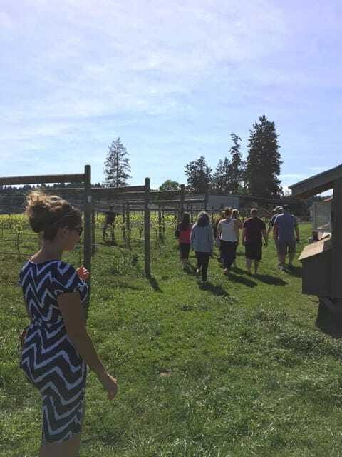 6-Hour Victoria to Cowichan Wine Tour - The guides shape the day