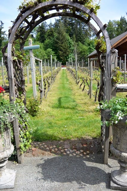 6-Hour Victoria to Cowichan Wine Tour - How much value does the $127 price offer?