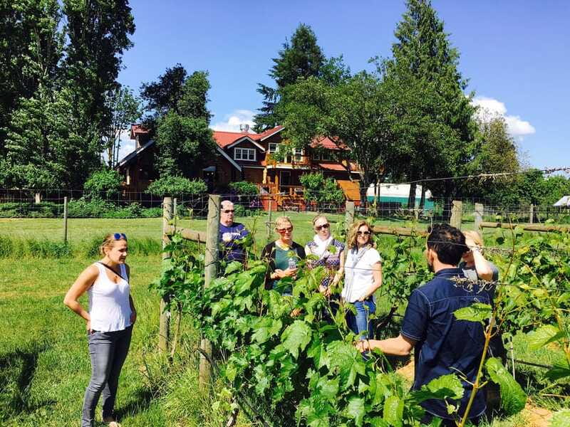 6-Hour Victoria to Cowichan Wine Tour - Who will enjoy this Cowichan Valley day?