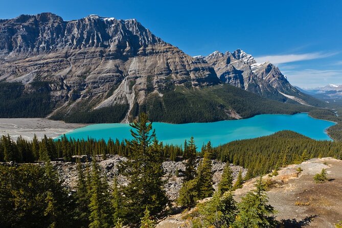 7 Days Canadian Rockies Camping Tour Package - Day 3: Bow Lake and Peyto Lake
