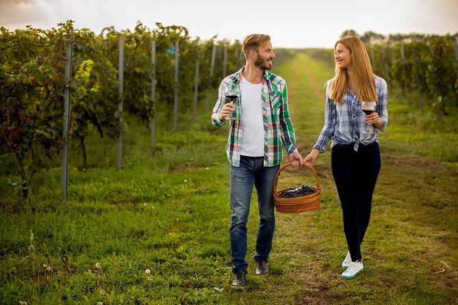 8 Hour Ontario Wine Tour with Cheese and Charcuterie - Six tastings, each with a 45-minute window