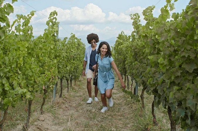 8 Hour Ontario Wine Tour with Cheese and Charcuterie - Konzelmann, Marynissen, Peller, Trius, Caroline Cellars, Chateau Des Charmes, and Colaneri