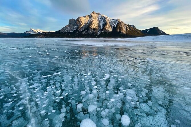 Abraham Ice Bubble/Sunwapta Falls,Snowshoeing,Icefield, Bow&Peyto - Waterfowl Lakes and the road north