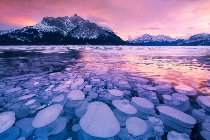 Abraham IceBubble, Peyto, Bow Lake with Snowshoeing& Icewalk - Key points to know before booking