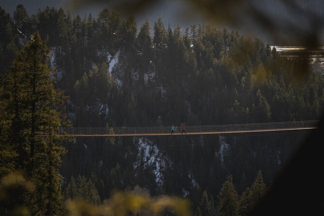 Admission Ticket to Golden Skybridge - Treetop Village for children