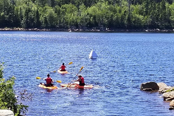 Adult Single Kayak Rental - Key points to know before you paddle
