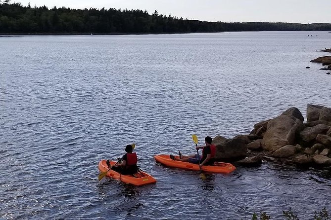Adult Single Kayak Rental - A wilderness outing ten minutes from Halifax