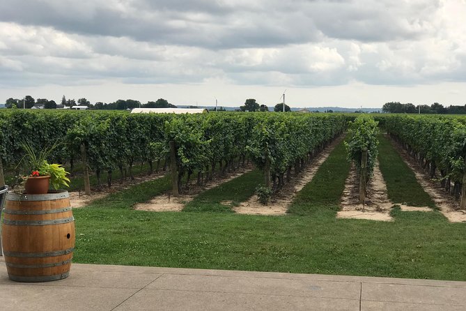 Afternoon Wine, Beer and Charcuterie Tour in Niagara-on-the-Lake - Lake views and food pairing at Konzelmann Estate