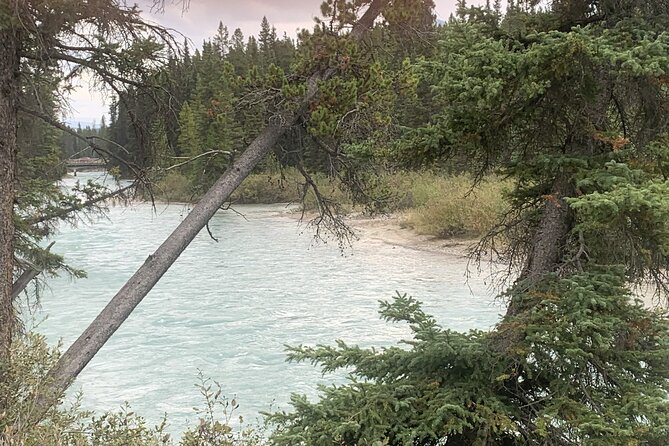 Airport Shuttle: Lake Louise <---> Calgary - The vehicle, driver, and child-seat details