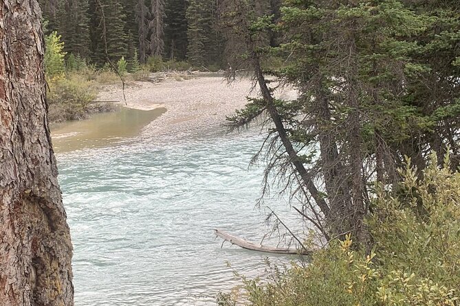 Airport Shuttle: Lake Louise <---> Calgary - Where the value is strongest