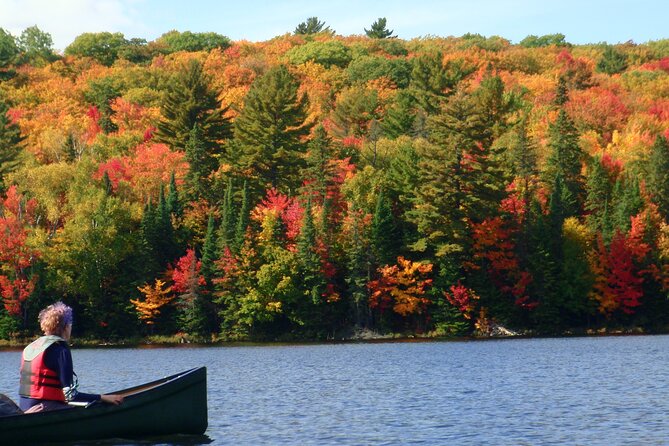 Algonquin Park 3-Day Deluxe Camping & Canoeing Adventure - Key points at a glance