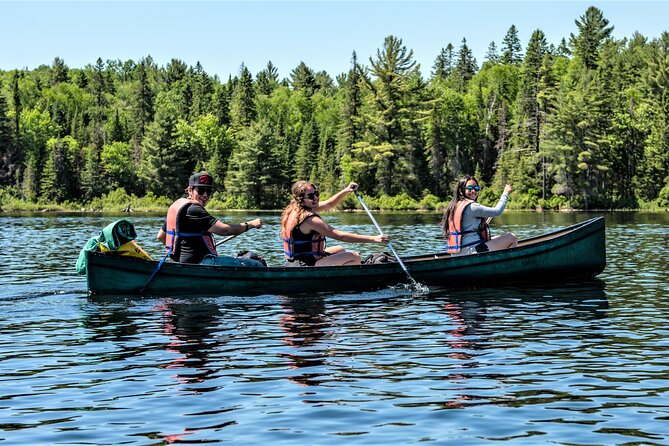 Algonquin Park 3-Day Deluxe Camping & Canoeing Adventure - Fire skills, wildlife lessons, and a serious camp dinner